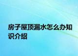房子屋顶漏水怎么办知识介绍