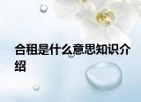 合租是什么意思知识介绍