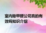 室内除甲醛公司真的有效吗知识介绍