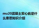 mu20混凝土实心砖是什么意思知识介绍