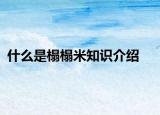 什么是榻榻米知识介绍