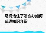 马桶堵住了怎么办如何疏通知识介绍