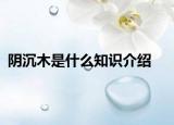 阴沉木是什么知识介绍