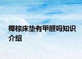 椰棕床垫有甲醛吗知识介绍
