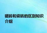 磁砖和瓷砖的区别知识介绍