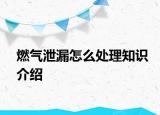 燃气泄漏怎么处理知识介绍