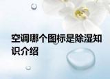 空调哪个图标是除湿知识介绍
