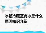 冰箱冷藏室有冰是什么原因知识介绍