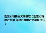 别出心裁的近义词是啥（别出心裁的近义词 别出心裁的近义词是什么）