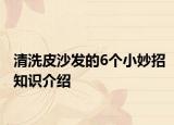 清洗皮沙发的6个小妙招知识介绍