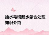 抽水马桶漏水怎么处理知识介绍