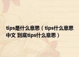 tips是什么意思（tips什么意思中文 到底tips什么意思）