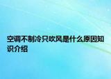 空调不制冷只吹风是什么原因知识介绍