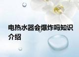 电热水器会爆炸吗知识介绍