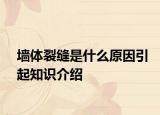 墙体裂缝是什么原因引起知识介绍
