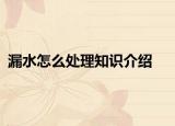 漏水怎么处理知识介绍