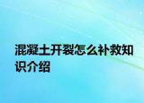 混凝土开裂怎么补救知识介绍