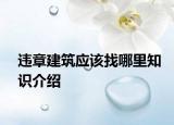 违章建筑应该找哪里知识介绍