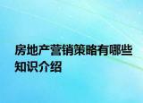 房地产营销策略有哪些知识介绍