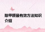 除甲醛最有效方法知识介绍