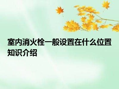 室内消火栓一般设置在什么位置知识介绍