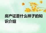 房产证是什么样子的知识介绍