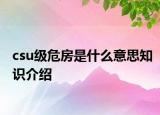 csu级危房是什么意思知识介绍