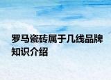 罗马瓷砖属于几线品牌知识介绍