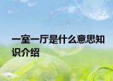 一室一厅是什么意思知识介绍