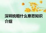 深圳统租什么意思知识介绍