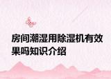 房间潮湿用除湿机有效果吗知识介绍