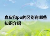 真皮和pu的区别有哪些知识介绍