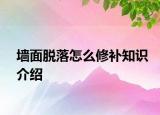 墙面脱落怎么修补知识介绍