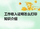工作收入证明怎么打印知识介绍