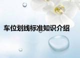 车位划线标准知识介绍