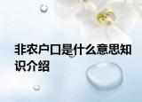 非农户口是什么意思知识介绍