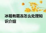 冰箱有霜冻怎么处理知识介绍
