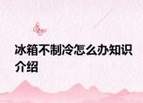 冰箱不制冷怎么办知识介绍