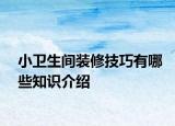 小卫生间装修技巧有哪些知识介绍