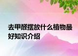 去甲醛摆放什么植物最好知识介绍