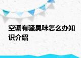 空调有骚臭味怎么办知识介绍