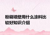 粉刷墙壁用什么涂料比较好知识介绍