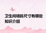 卫生间墙砖尺寸有哪些知识介绍