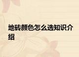 地砖颜色怎么选知识介绍