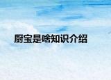 厨宝是啥知识介绍