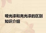 哑光漆和亮光漆的区别知识介绍