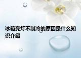 冰箱亮灯不制冷的原因是什么知识介绍