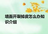 墙面开裂掉皮怎么办知识介绍