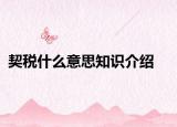 契税什么意思知识介绍