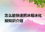 怎么能快速把冰箱冰化掉知识介绍